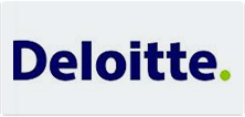 SEG - Deloitte