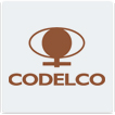 SEG - Codelco